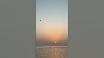 #محمد_اللحيدان #تلاوة_خاشعة #قران #قران_كريم #اكسبلورexplore #quran #استغفرالله #لايك #اكسبلور