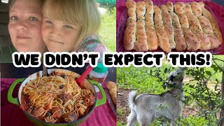 We Didn’t Expect This! Job Loss • Homemade Breadsticks