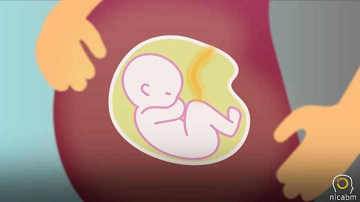 How Trauma Can Impact a Child in Utero, with Allan Schore