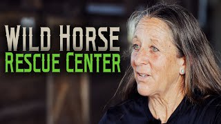 Wild Horse Rescue Center  Horse Rescue Heroes | S3E2
