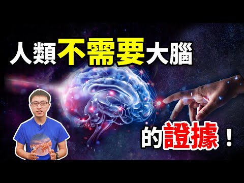 惊 ! 无脑也能存活 ! 人类意识到底来自哪里 ? 科学证实大脑可在11层维度运行 ! 【地球旅馆】