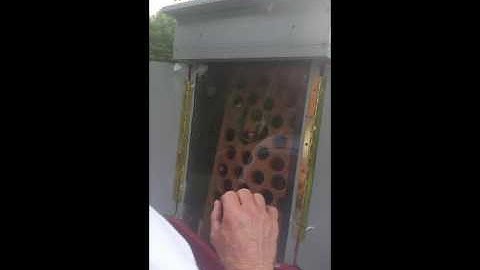 REALLY the BEST Puzzle Cache Ever