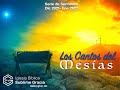 EL CANTO DE LOS ANGELES - Lucas 2:8-14