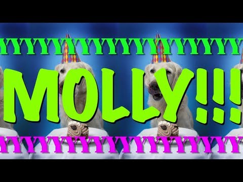 happy-birthday-molly!---epic-happy-birthday-song