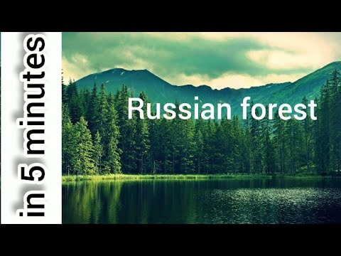 Video: Russische natuur. Russische bossen. Beschrijving van de Russische natuur