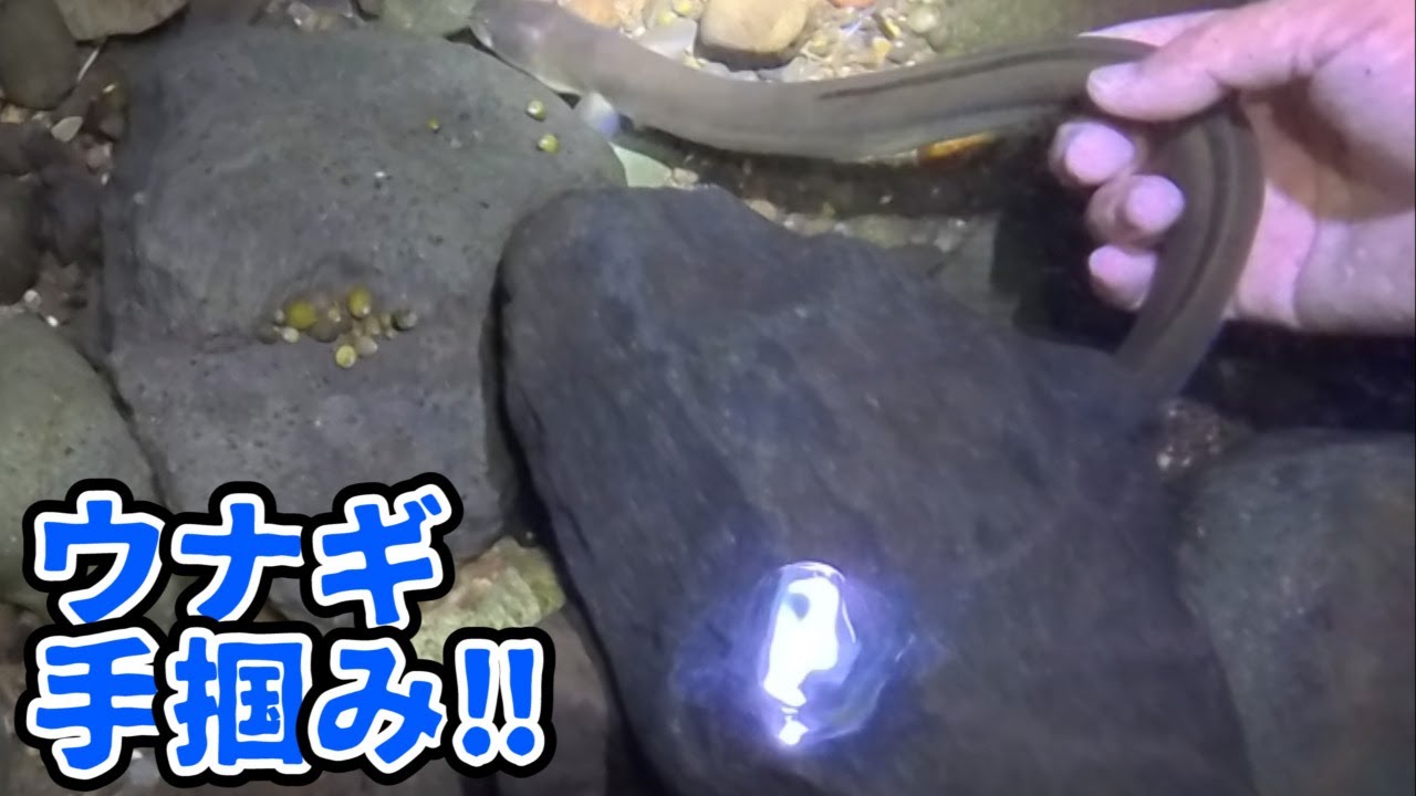 この時期の河口って凄い…何故今まで行かなかったんだろう？【ガサガサ】その①