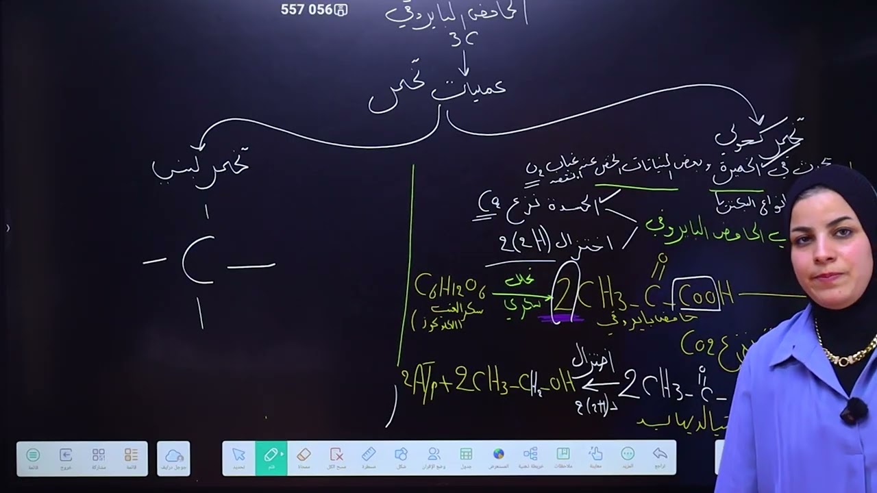 الست الاء البياتي / الفصل الاول - المحاضرة رقم 9