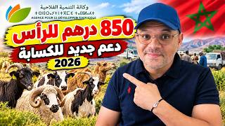 Sheep and Livestock Subsidy: Requirements, Amounts, and How to Apply