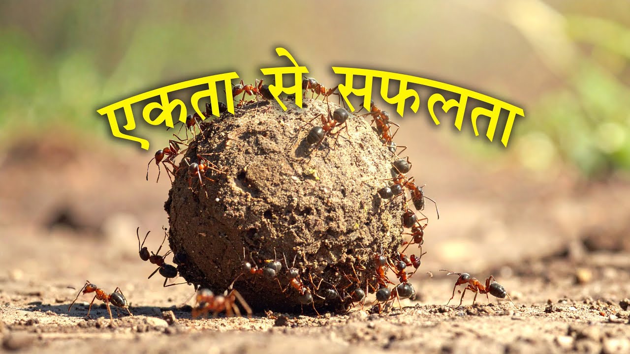 APS StarVibe is live. Thanq YT Family. 