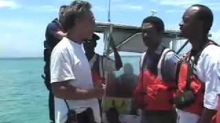 Dolphin Rescue in Haiti - Reuters TV version