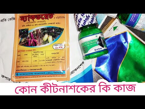 ভিডিও: টেম্পেস্টের আসল নাম কি?