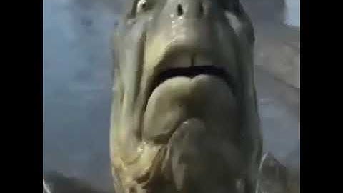 You Stupid!