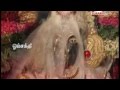 Amma devotional song  melmaruvathur adhiparasakthi  amma om sakthieye