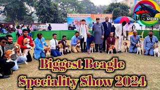 The Beagle Club Of Kolkata Dog Show 2024 | Beagle Speciality | FCI Judge Peerapong Pisitwuttinan