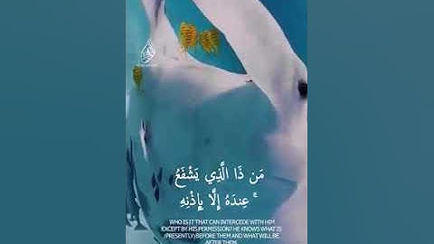 اية الكرسي/بصوت القارئ رعد الكردي