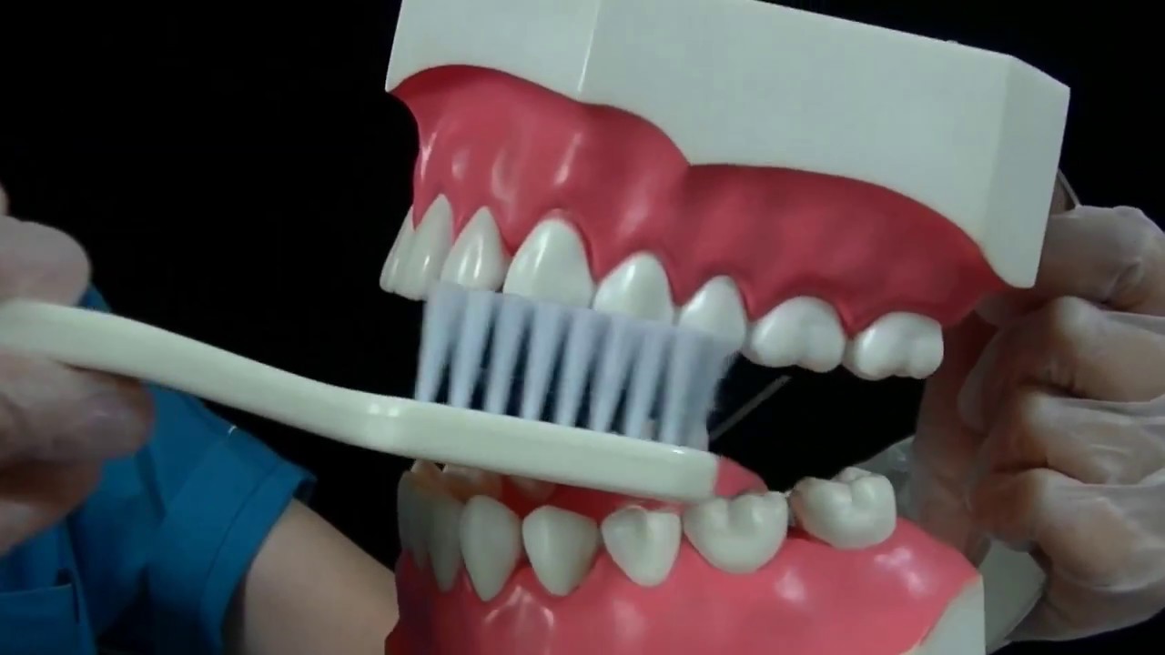 歯の順番磨きを覚えましょう！