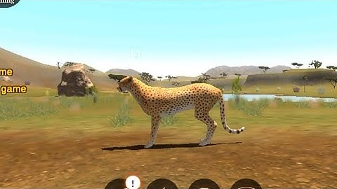 The Cheetah | gameplay walkthrough part 5 | Red Chilli Gaming | Android iOS