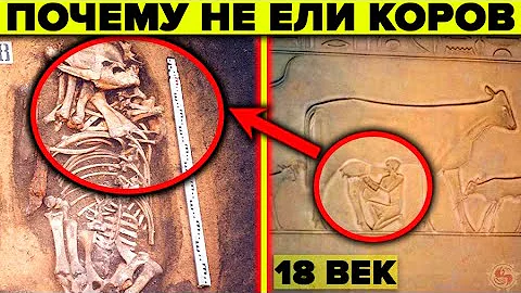 Почему на Руси до 18 века не ели говядину ? Шокирующие факты о которых молчат историки