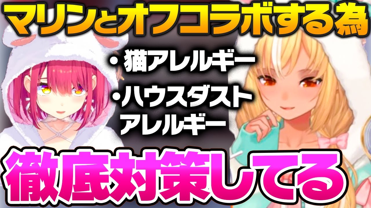 マリンと新衣装同士で、オフコラボしたい為にアレルギー対策の準備をしてると明かすフレア【ホロライブ 切り抜き/宝鐘マリン/不知火フレア】