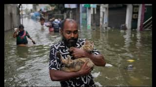 වියරු වී දිට්වා  Ditva  EDM  lyrics  Anil wimalasurendra 