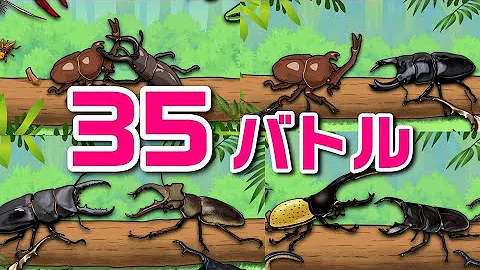 カブトムシ戦い