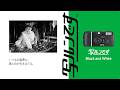「写ルンです Black and White™」ブランドプロモーション動画/富士フイルム