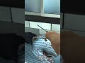 #gamingvideos #palestine zombies free fire 🔥🔥