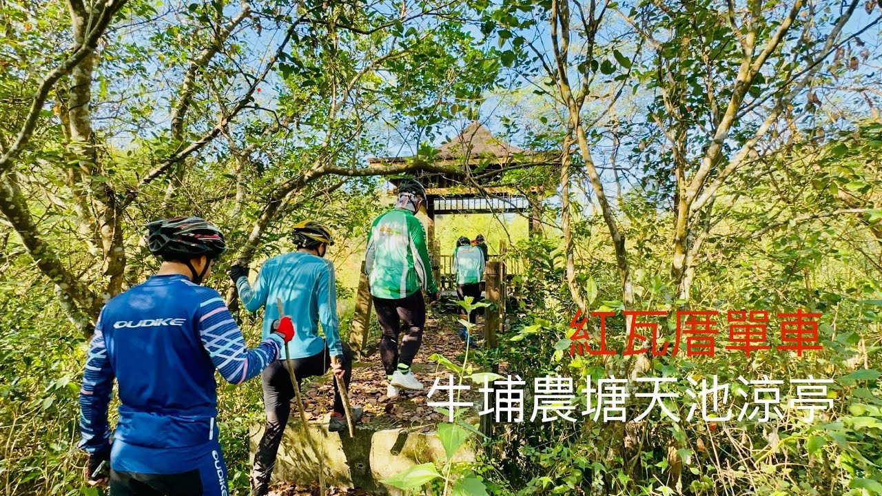 牛埔農塘天池涼亭/林仙化老師講古/紅瓦厝單車/20251115