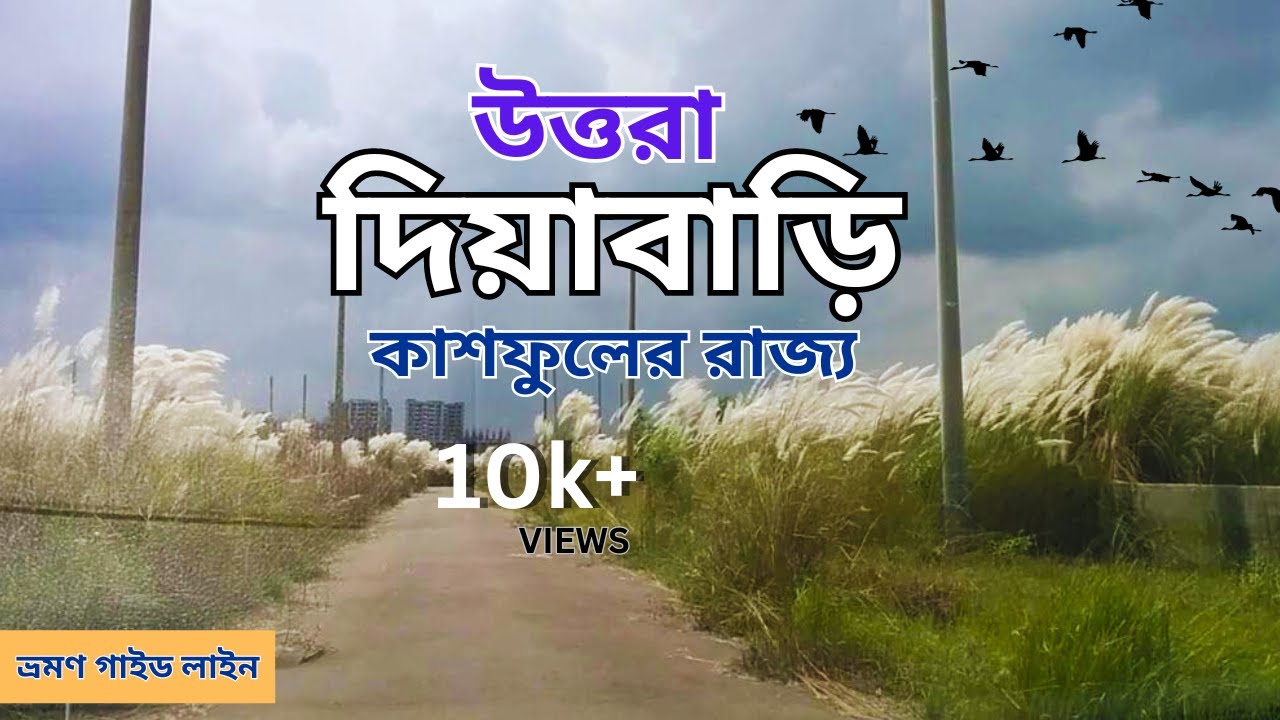 Uttara Dia Bari || উত্তরা দিয়াবাড়ি || দিয়াবাড়ির কাশফুল || হৃদ কুটির - Hrid Kutir