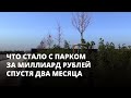 Засохшие деревья и туалеты без воды. Что стало с парком за миллиард спустя два месяца