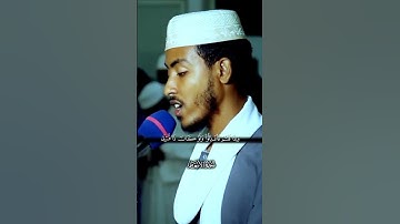 روائع سورة الانعام/شيخ عفيف محمد تاج
