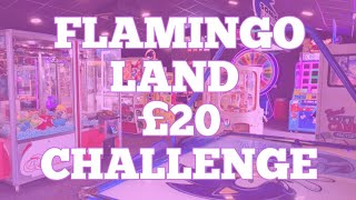 £20 ARCADE CHALLENEGE @ FLAMINGO LAND