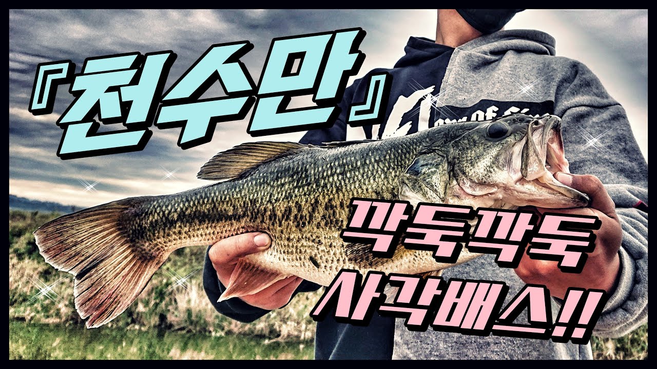 천수만 / 배스낚시 / 사각사각한 어깡배스!! - Bass Fishing