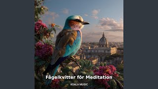 Fågelkvitter för Meditation och Mental Avkoppling, Pt.2