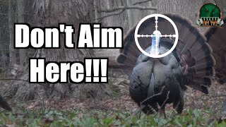 YOU'RE AIMING WRONG! Turkey Shot Placement | Shotgun Turkey Hunting