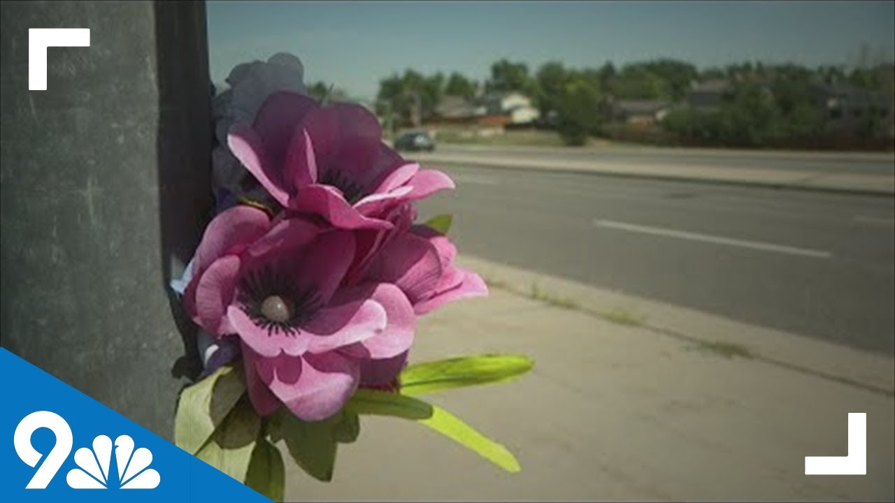Man, 2 dogs killed in hit-and-run crash in Aurora - YouTube