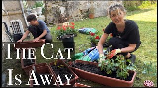 EP156 The Cat Is Away ... Getting the Garden Pots ready at the chateau