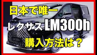 日本で唯一「レクサスLM300h」を購入出来る販売店とは？