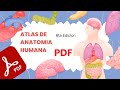 🧠 Netter Atlas De Anatomia - 600 Pags. COMPLETO [PDF] - Tutorial💪🦵🦷👁️