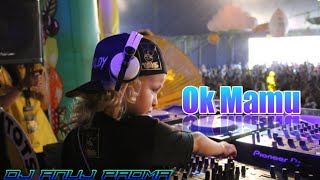 CHAND WALA MUKHDA LEKE ★ HARD MIX | Ok Mamu | DJ ANUJ PADMA