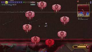 Brain of Cthulhu NO-HIT (Ranger) | Terraria Calamity Infernum