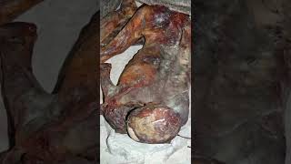 MAIS ANTIGO QUE OS FARAÓS: O CORPO QUE O SOL ETERNOU! #egitoantigo #preservacao #curiosidades