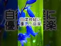 ｟自律神経に優しい音楽｠#自律神経を整える音楽#癒し#オーケストラ曲