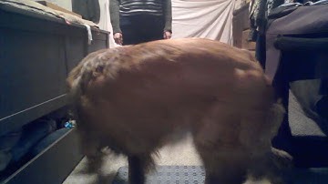 Jamie Weinstock Exercise 3.1 Default Stand