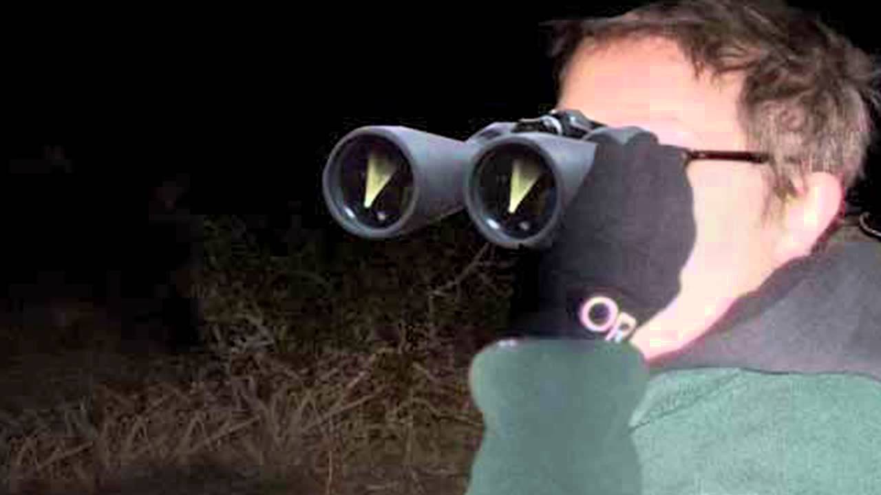 Comet Pan-STARRS Visible in March Night Sky | Video