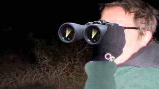 Comet Pan-Starrs Visible In March Night Sky Video