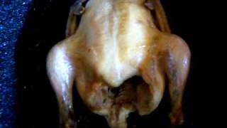 Yum Chicken