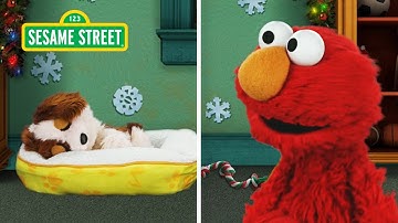 Elmo & Tango