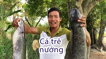 ANH TÂY NGUYÊN | Làm Món Cá Trê Nướng Siêu To Ăn Ở Ngoài Ruộng Cùng Anh Em