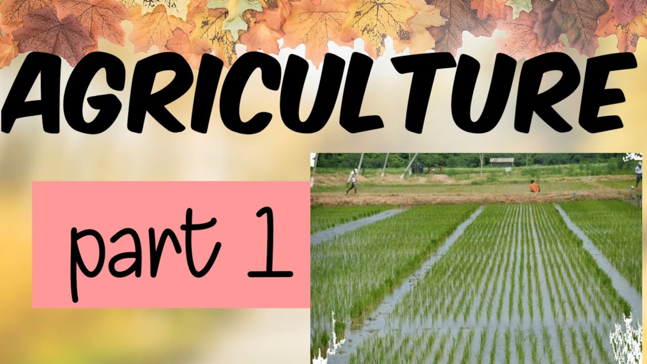 AGRICULTURE Class 10 Chapter 4 geography full explanation according to